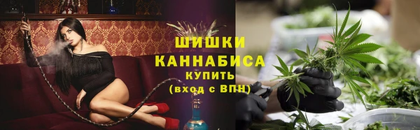 ECSTASY Бородино