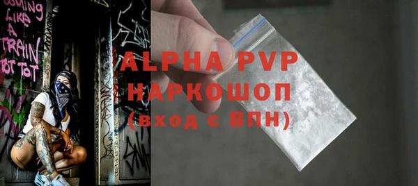 ECSTASY Бородино