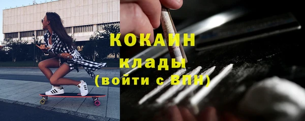 ECSTASY Бородино