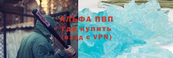 СК Бронницы