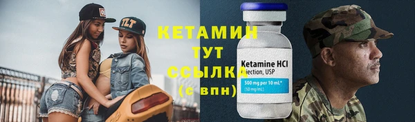 СК Бронницы