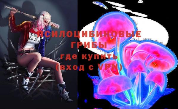 СК Бронницы