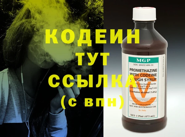 ECSTASY Бородино
