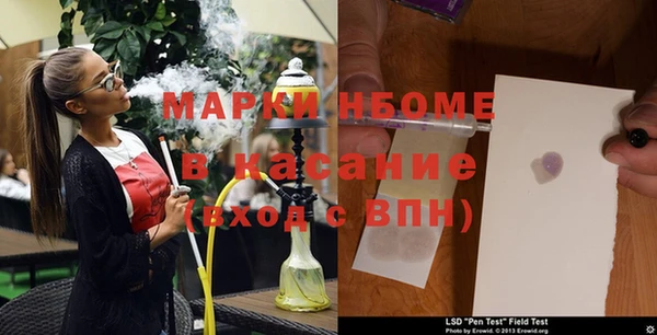 ECSTASY Бородино