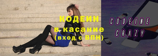 ECSTASY Бородино