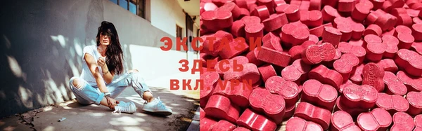 гидра Богородицк